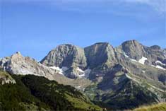 pyrennées