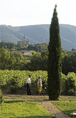 provence