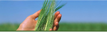 produits biologiques et naturels