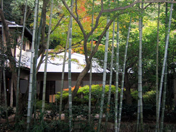 jardin de bamboos