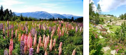 environs de font-romeu