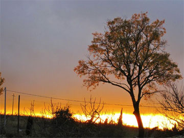 coucher de soleil en automne