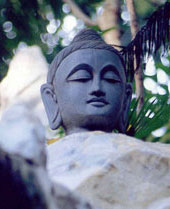 bouddha