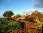 ayurveda
