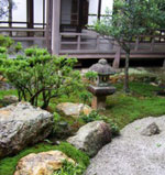 niwaki jardin zen