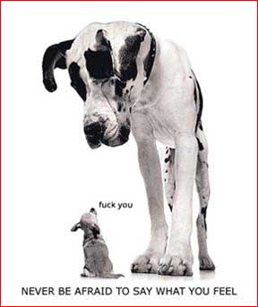 chiens