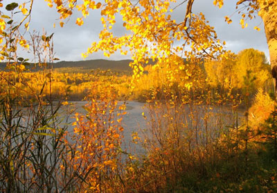 canada