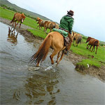 mongolie