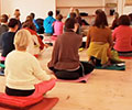 Festival de la Méditation