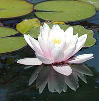 méditation