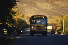 bus