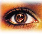 yeux