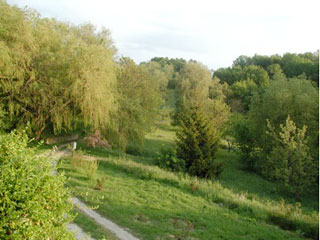 centre espace healing