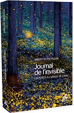 Journal de l’invisible