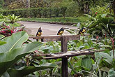Ecolodge-Anandamaya