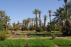 Dar Paru