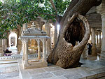 Rajasthan