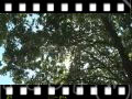 aa