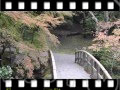 Le jardin japonais 