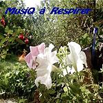 musiq à respirer