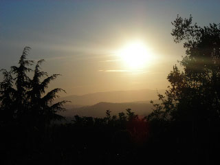 nature