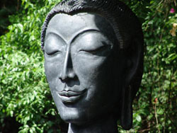 bouddha conscience