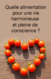alimentation et conscience