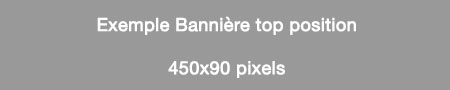 bannière top position