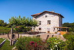 Fous du Village