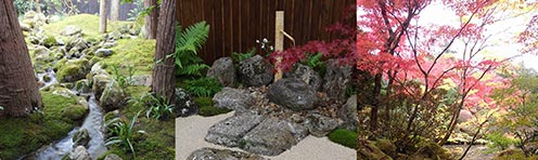 jardin japonais