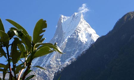 nature