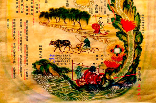 tao