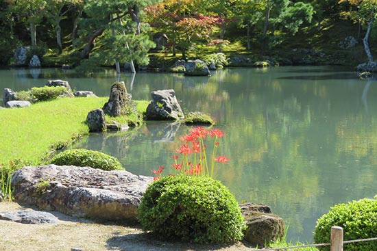 jardin japonais