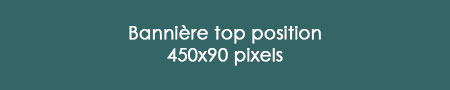 bannière top position