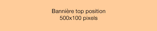 bannière top position