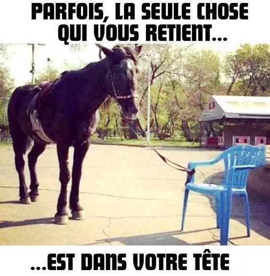 humour