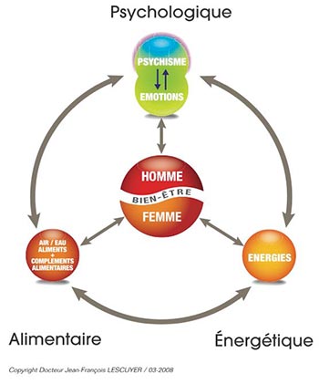Les 3 Piliers de la Santé