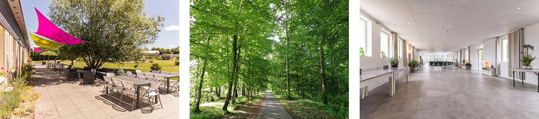 Les Gîtes de la forêt