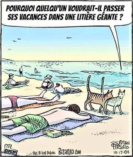 blague - humour