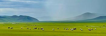 voyage en Mongolie