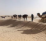 Voyages Initiatiques dans le Désert Tunisien