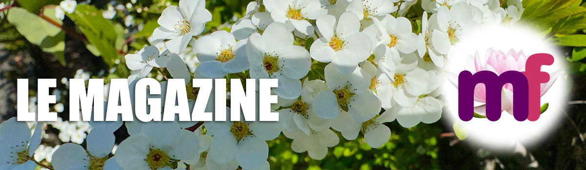 meditationfrance, méditation, tantra, connaissance de soi