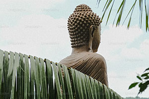 calendriers des activités