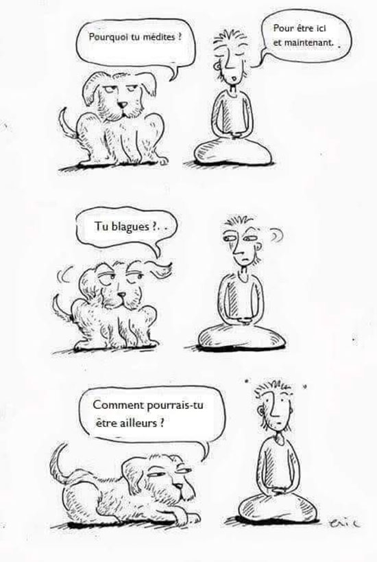 blagues de méditation