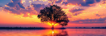 Stage et Formation Breathwork 2026-2027
