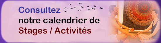 calendrier d'activités