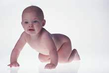 bébé