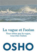 la vague et l'océan