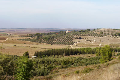 oasis de paix