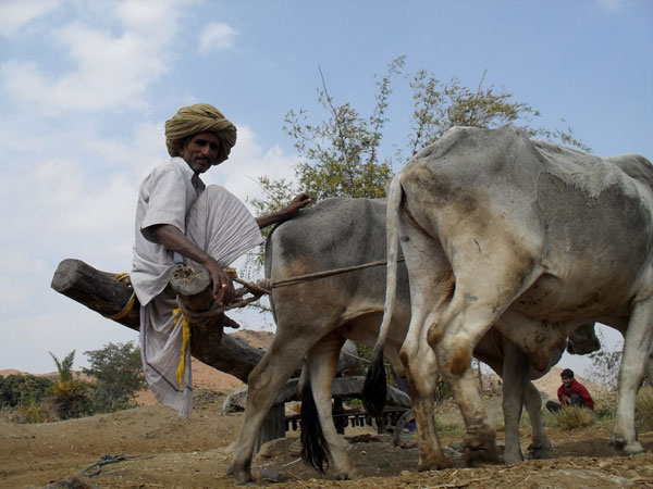 Rajasthan